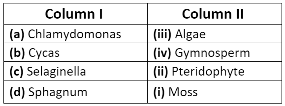 Plant Kingdom NCERT Solutions | Biology Class 11 - NEET