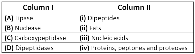 NCERT Exemplar: Digestion and Absorption Notes | Study Biology Class 11 - NEET