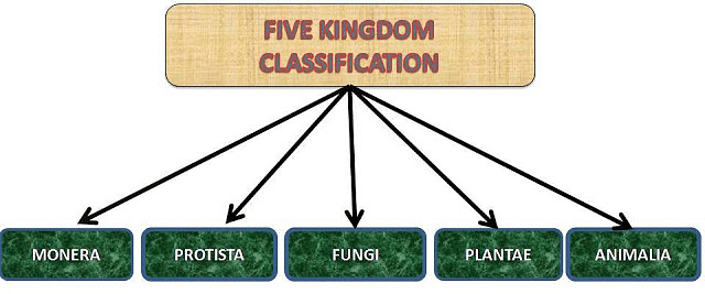 Five Kingdom System of Classification