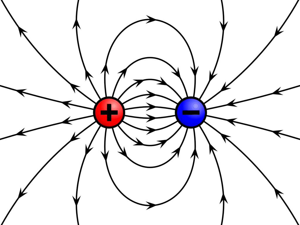 Field lines diverge from positive charges and converge in negative charges