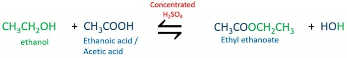 Previous Year Questions: Carbon & its Compounds - 2 | Science Class 10