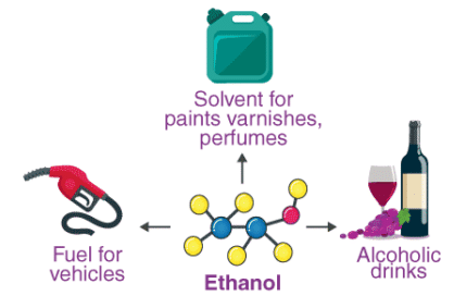 Alcohols: Properties, Preparation & Reactions | Chemistry Class 12 - NEET