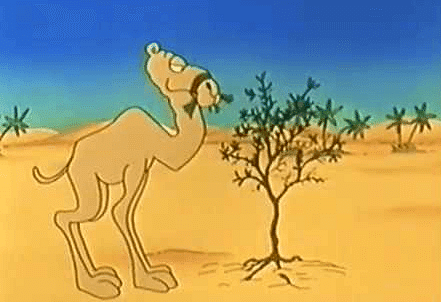 NCERT Solution - How the Camel Got His Hump | English Class 8