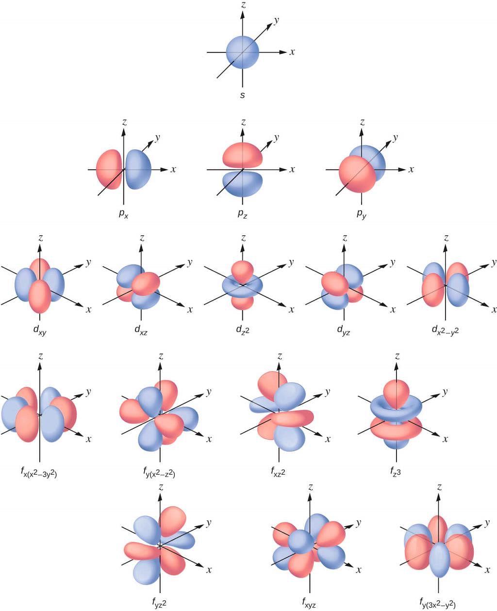 Quantum Numbers Orbitals And Their Shapes Chemistry Class 11 Neet Pdf Download