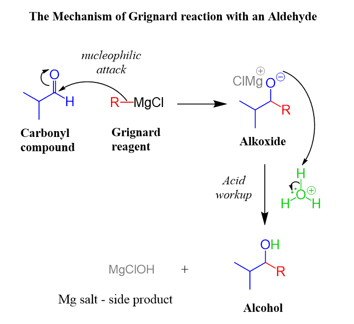 Alcohols: Properties, Preparation & Reactions | Chemistry Class 12 - NEET