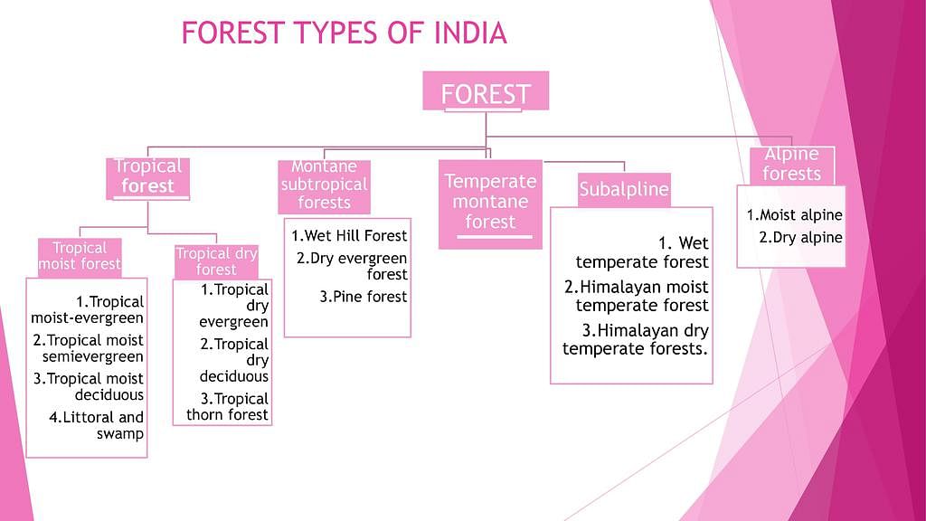 Shankar IAS: Summary of Terrestrial Ecosystem | Famous Books for UPSC Exam (Summary & Tests)