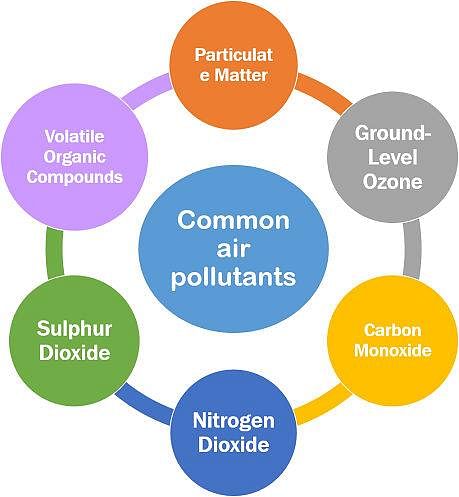 Shankar IAS: Summary of Environment Pollution | Famous Books for UPSC Exam (Summary & Tests)
