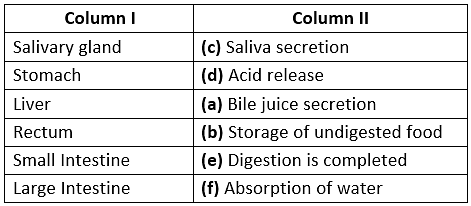 Class 7 Science Chapter 2 Question Answers - Nutrition in Animals