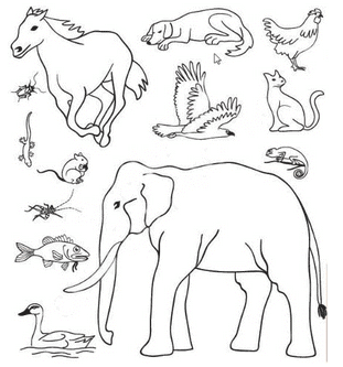 Poonam’s Day out NCERT Solutions - EVS for Class 3 PDF Download