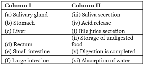 NCERT Solutions for Class 8 Science Chapter 2 - Nutrition in Animals