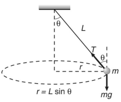 Circular Motion in a Pendulum