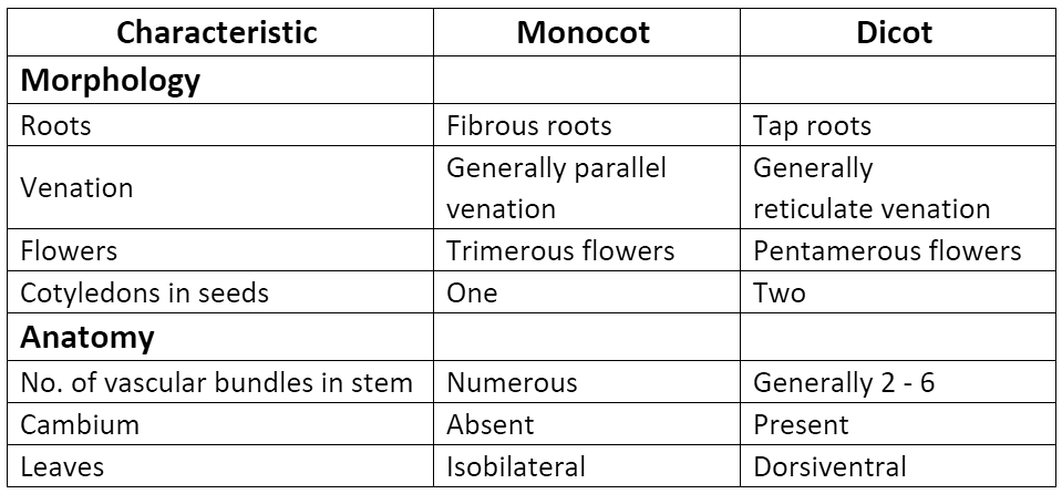 NCERT Solutions: Plant Kingdom Notes | Study Biology Class 11 - NEET