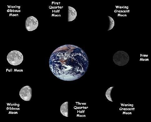 Fig: Different phases of the moon