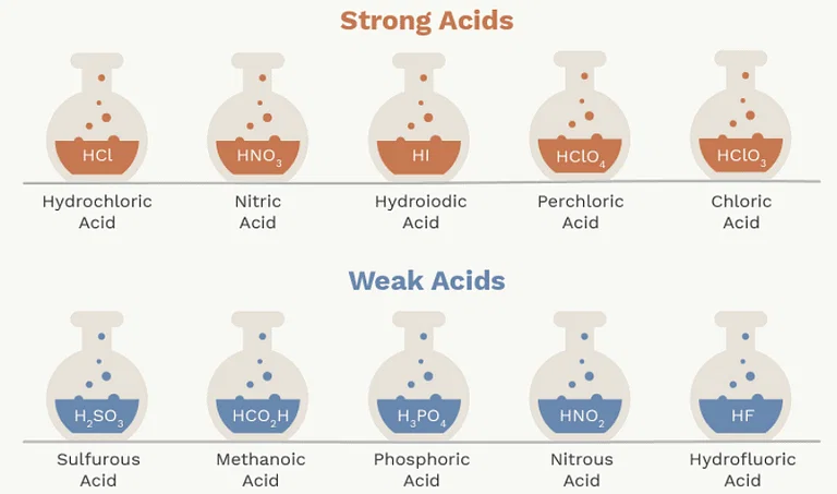 Overview: Acids & Bases Notes | Study Science Class 10 - Class 10