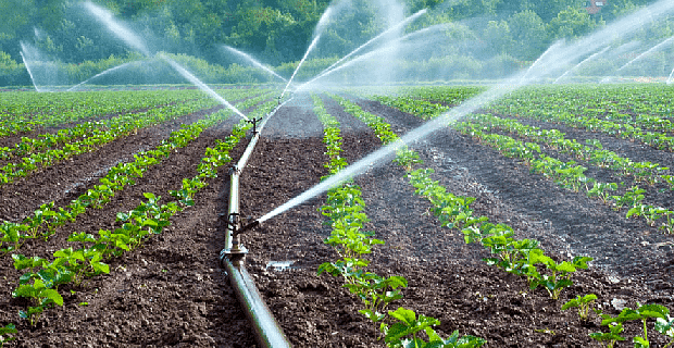 Water irrigation 
