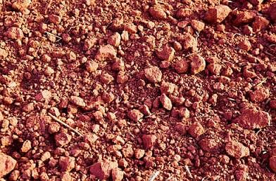 Laterite soil