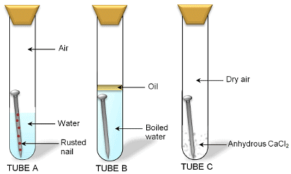 Different conditions of an iron nail rusting