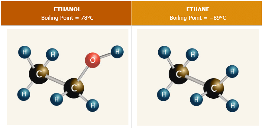 Ethanol has a higher Boiling Point than Ethane