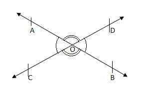 CBSE Sample Paper Solutions 1 Term 1 - Class 7 Maths