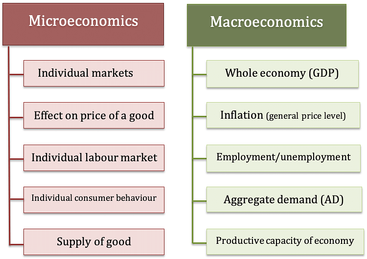 Two main branches of Economics