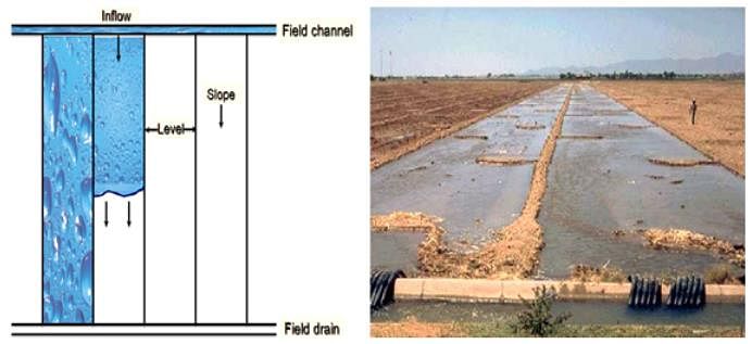 Surface Irrigation Methods, Irrigation Engineering Notes | Study Irrigation Engineering Notes - Agricultural Engineering - Agricultural Engineering