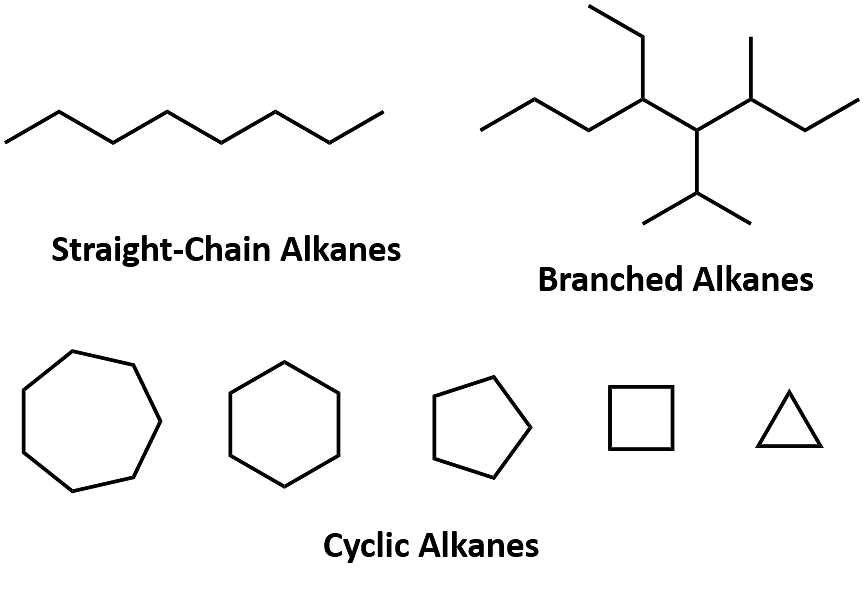 Types of the Carbon Chain