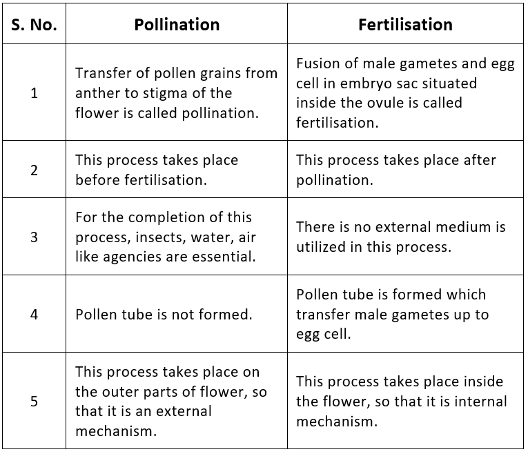 Fertilisation in Flowering Plants & Double Fertilisation Notes | Study Biology Class 12 - NEET
