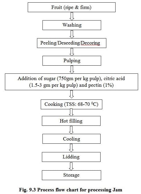 Processed Products from Fruits and Vegetables, Crop Process Engineering ...