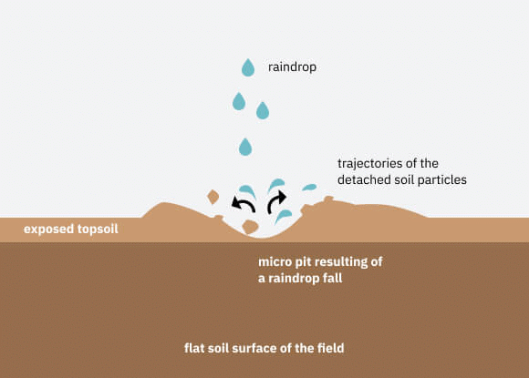 NCERT Summary: Soils- 1 - Geography for UPSC CSE PDF Download