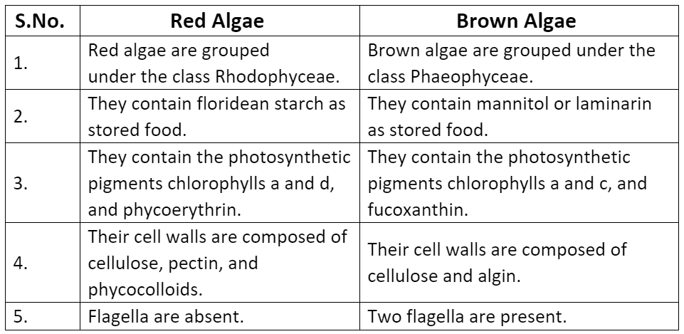 Plant Kingdom NCERT Solutions | Biology Class 11 - NEET