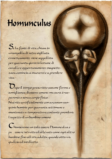 Homunculus - Spermist conception of a human sperm