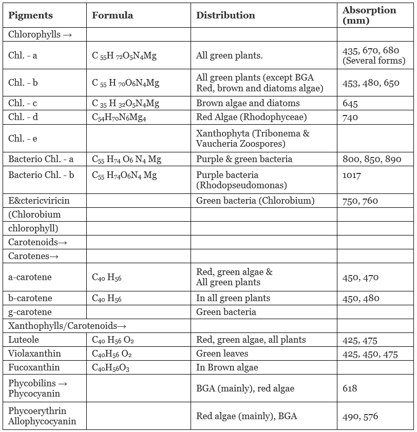 Photosynthesis: Pigments Involved in Photosynthesis - Biology Class 11 ...