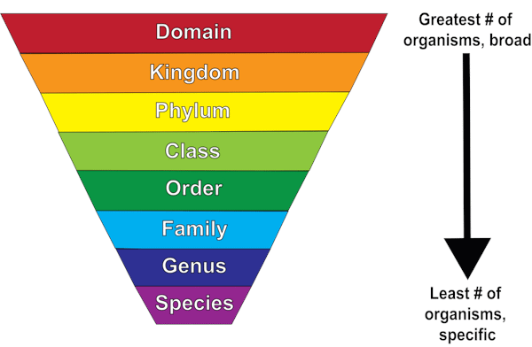 Key Notes on the Living World - NEET PDF Download