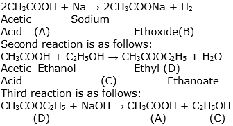 Previous Year Questions: Carbon & its Compounds - 2 | Science Class 10