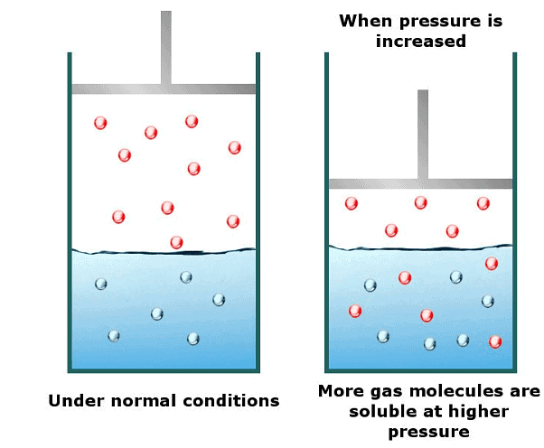 Henry`s Law: Effect of Pressure on Solubility of Gases in Liquids | Chemistry Class 12 - NEET