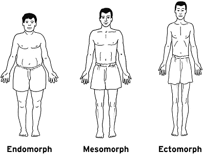 Fig: Body Type
