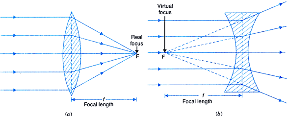 (a) Convex Lens; (b) Concave Lens