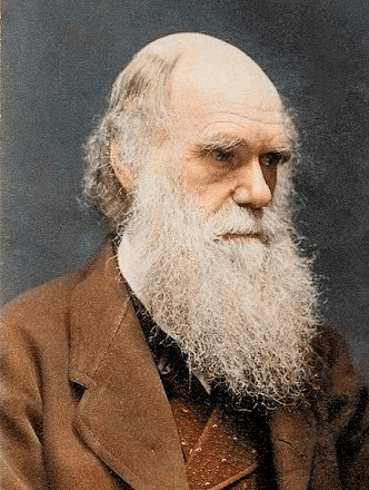Evolution, Variations & Darwin`s Theory | Biology for Grade 10