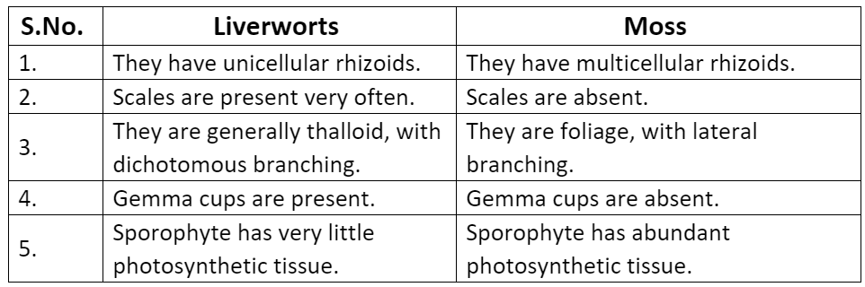 Plant Kingdom NCERT Solutions | Biology Class 11 - NEET