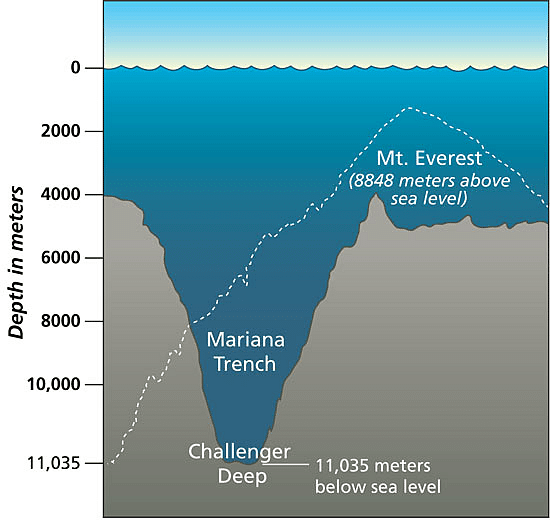 The Depth of Mariana Trench is more than the height of Mt. Everest