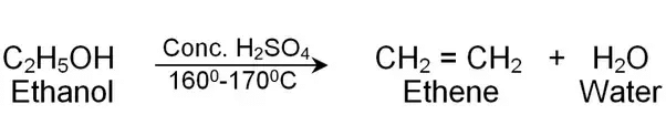Previous Year Questions: Carbon & its Compounds - 2 | Science Class 10