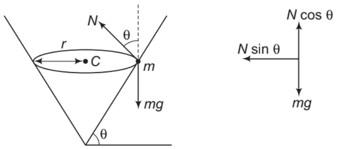 Motion of Particle Inside a Cone