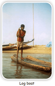 The Fish Tale Chapter Notes | Mathematics for Class 5: NCERT