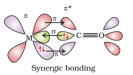 Bonding in Metal Complexes & Applications of Coordination Compounds | Chemistry Class 12 - NEET