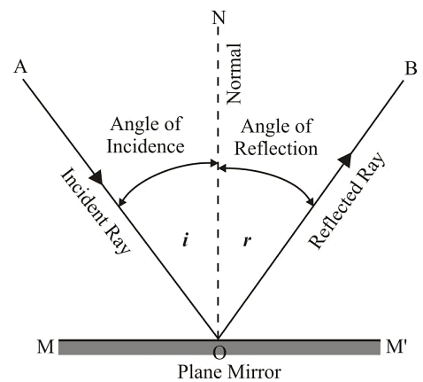 Light Chapter Notes - Science Class 8 PDF Download