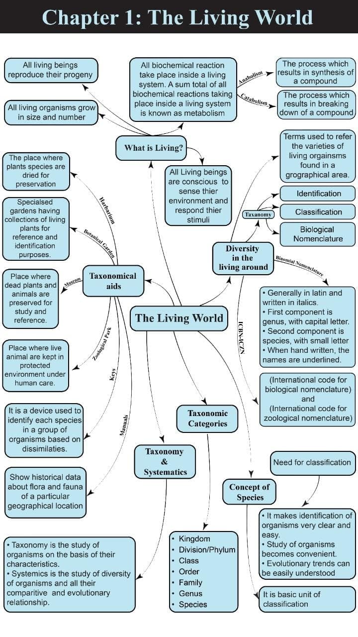 Living World Mindmap Image - Self Help Learning PDF Download