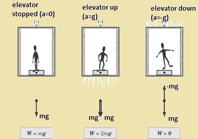 Revision Notes: Laws of Motion & Friction - Notes | Study NCERT Exemplar & Revision Notes for NEET - NEET