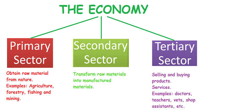 Previous Year Questions- Sectors of the Indian Economy Notes | Study Social Studies (SST) Class 10 - Class 10