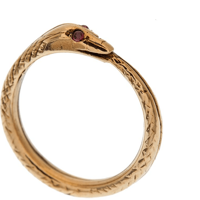 Fig: Snake biting its tail to form a ring: Symbol of Eternity. A ring has neither beginning nor end.