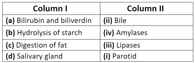 NCERT Solutions: Digestion & Absorption - Notes | Study Biology Class 11 - NEET